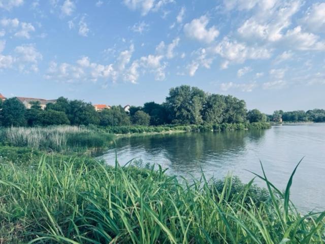 Hotel Sobe Djurdjevic Zatonje Esterno foto